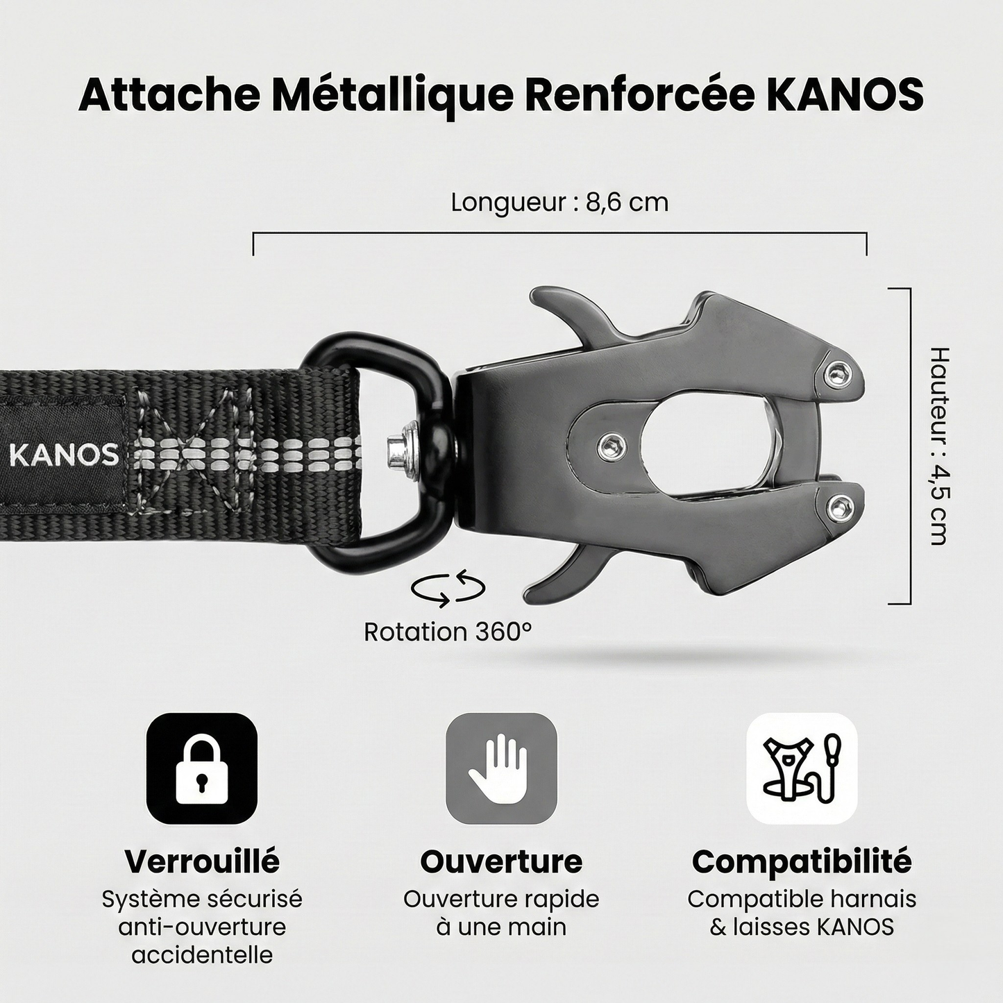 Laisse absorbante élastique