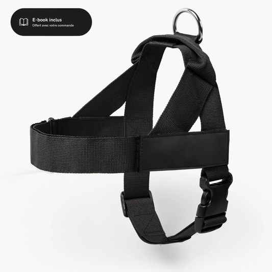 Harnais personnalisé