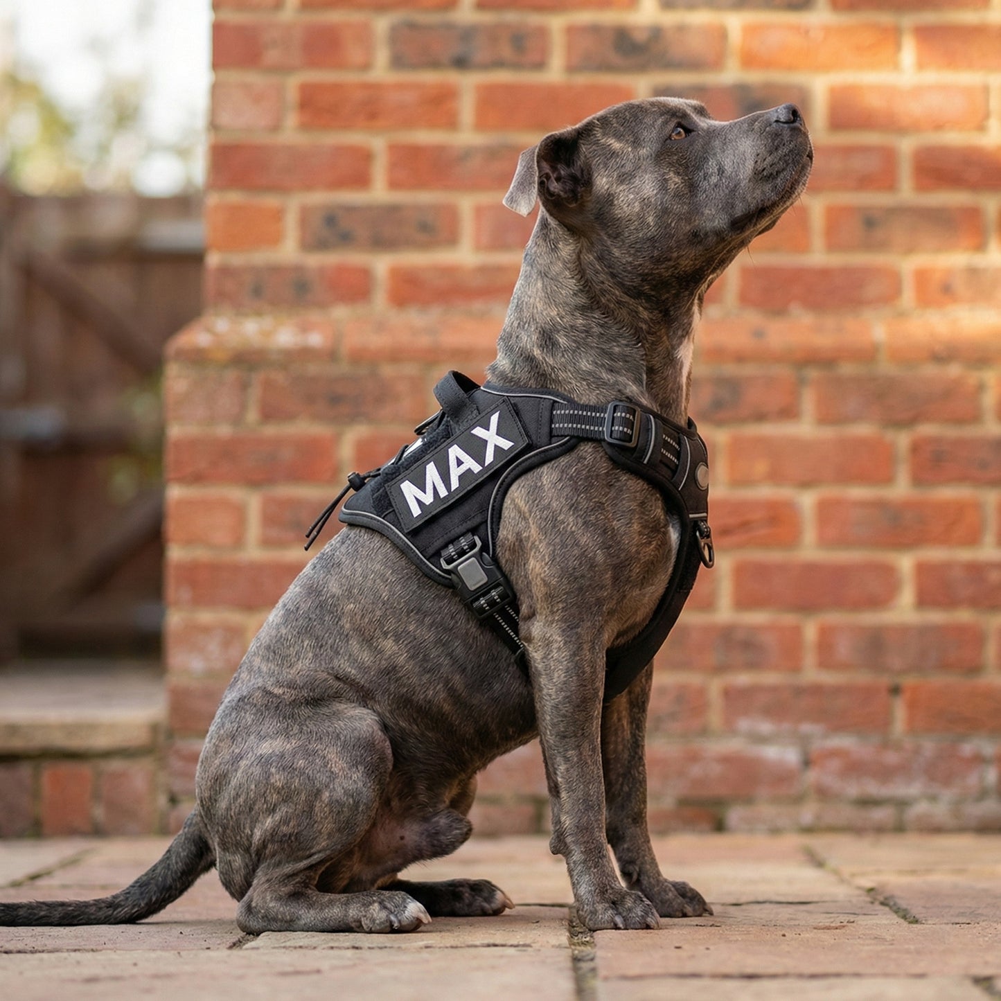 Harnais Hybride Double Contrôle®