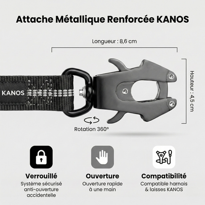 Laisse absorbante élastique