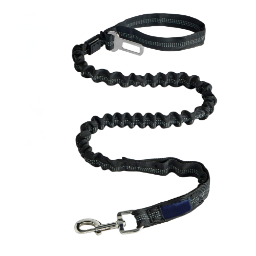 Laisse absorbante élastique