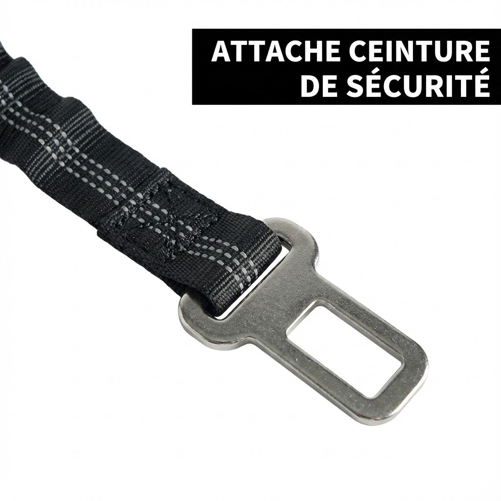 Laisse absorbante élastique