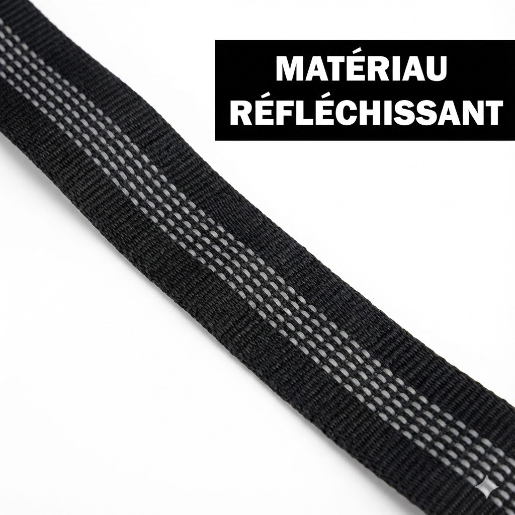 Laisse absorbante élastique