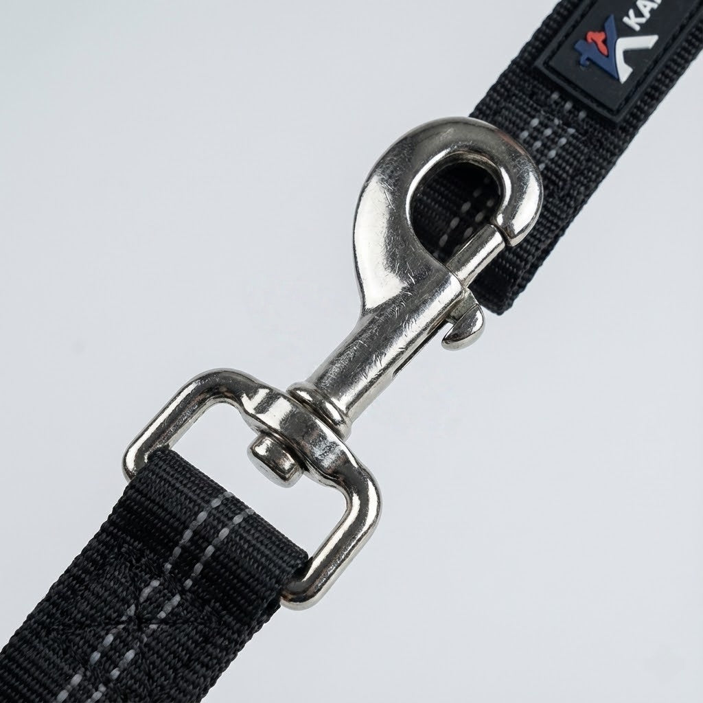 Laisse absorbante élastique